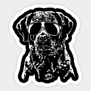 Funny Proud Chesapeake Bay Retriever sunglasses cool dog gift Sticker